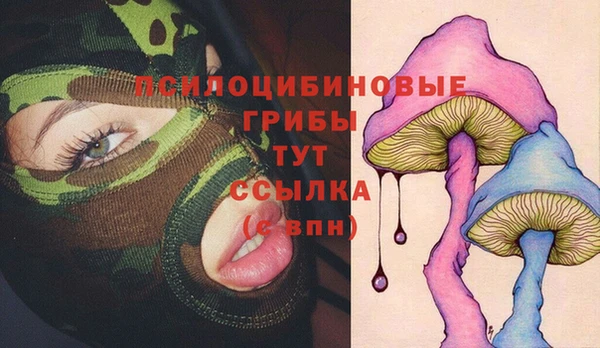 скорость Алзамай
