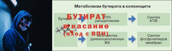 стафф Алексин
