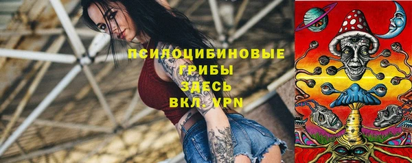 стафф Алексин