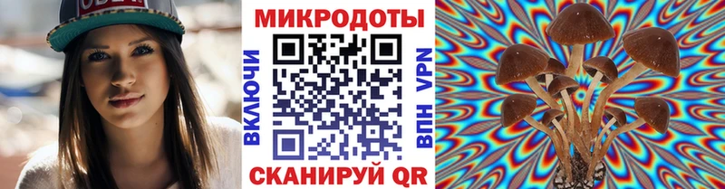 Псилоцибиновые грибы ЛСД  Купить  Ельня 